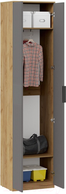 Шкаф ТриЯ Хилтон для одежды исп.2 (дуб крафт золотой/графит матовый)