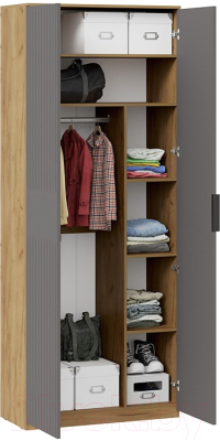 Шкаф ТриЯ Хилтон комбинированный с 2 дверьми исп.2 (дуб крафт золотой/графит матовый)