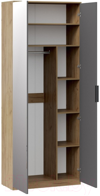 Шкаф ТриЯ Хилтон комбинированный с 2 дверьми исп.2.1 (дуб крафт золотой/графит матовый)