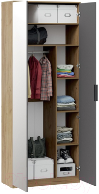 Шкаф ТриЯ Хилтон комбинированный с 2 дверьми исп.2.1 (дуб крафт золотой/графит матовый)