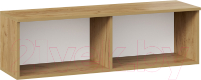 Шкаф навесной ТриЯ Хилтон 1100 (дуб крафт золотой/белый матовый)