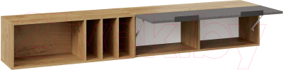 Шкаф навесной ТриЯ Хилтон с полкой 2040 (дуб крафт золотой/графит матовый)