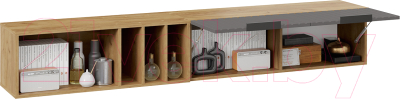 Шкаф навесной ТриЯ Хилтон с полкой 2040 (дуб крафт золотой/графит матовый)