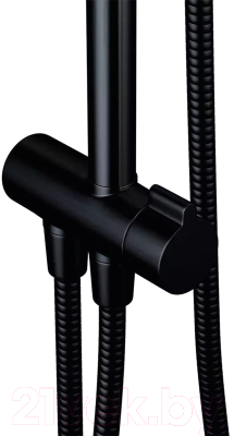 Душевая система Damixa Jupiter 977000300