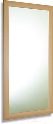 Зеркало Континент Бук 50x70 - фото