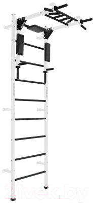 Шведская стенка Flexter Profi / ШСТБF0.12-FLX P (белый/черный) - фото