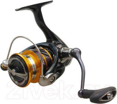 Катушка безынерционная Daiwa 19 Ninja BG LT 2000 / 10006-200 - фото