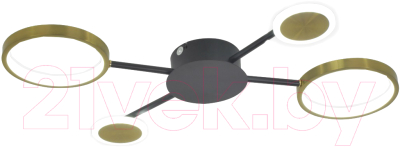 Потолочный светильник Mirastyle SL-41080-48 BK+SGD - фото