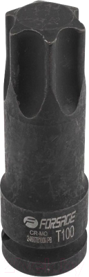 Головка слесарная Forsage F-246078100MPB - фото