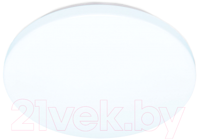 Потолочный светильник Ambrella FZ1009 (белый) - фото