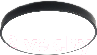 Потолочный светильник Ambrella FZ1205 (черный) - фото