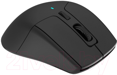 Мышь Acer OMR170 / ZL.MCEEE.00N