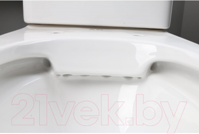 Унитаз напольный AV Engineering Stella / AVFTR3206