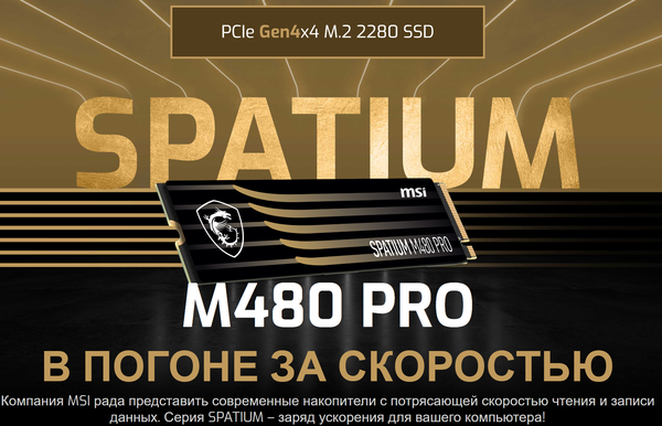 SSD диск MSI Spatium M480 2TB Pro (S78-440Q620-P83)