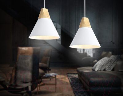 Потолочный светильник Ambrella Traditional / TR8195