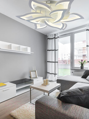 Потолочный светильник Mirastyle Диод CF-38604/6+3 WH