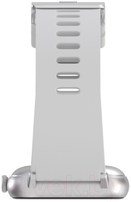 Умные часы Maxvi SW-02 (серый)