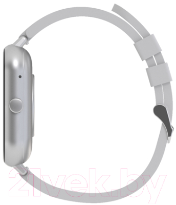 Умные часы Maxvi SW-02 (серый)