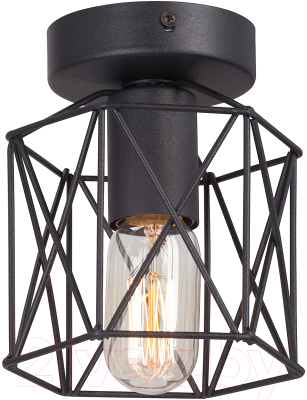 Потолочный светильник Vitaluce V4382-1/1PL - фото