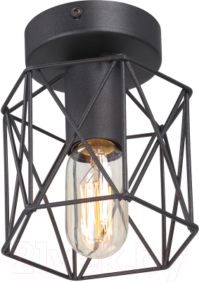 Потолочный светильник Vitaluce V4382-1/1PL