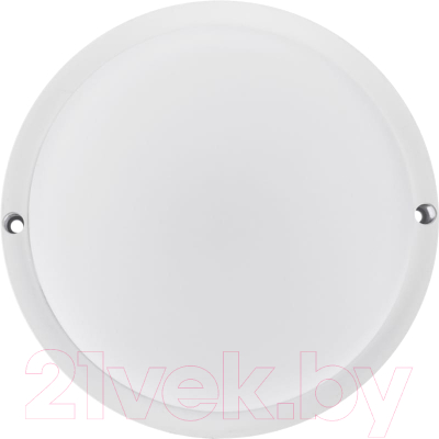 Светильник ЖКХ Rexant 607-274 - фото