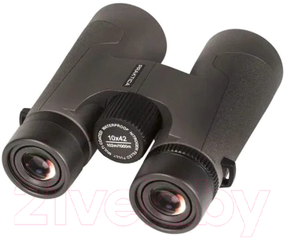 Бинокль Praktica Pioneer R 10x42 / 21110428