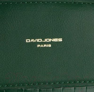 Сумка David Jones 823-CM6770-GRN (зеленый)