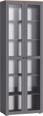 Шкаф с витриной Mobi Остин 16.394.02 (серый графит 0162 РЕ/дуб золотой craft/графит ZB 856-2 ПВХ) - фото