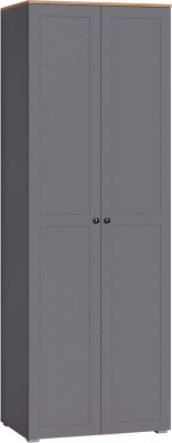 Шкаф Mobi Остин 13.336.02 (серый графит 0162 РЕ/дуб золотой craft/графит ZB 856-2 ПВХ) - фото