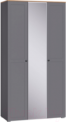 Шкаф Mobi Остин 13.336.03 (серый графит 0162 РЕ/дуб золотой craft/графит ZB 856-2 ПВХ) - фото