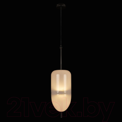 Потолочный светильник Loftit Venice 10223/B White