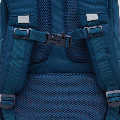 Школьный рюкзак Grizzly RG-466-1
