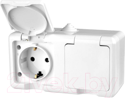 Розетка Tokov Electric TKL-DT-R2Z-C01-IP54 - фото