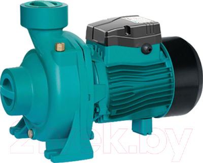 Центробежный насос Aquor AHFm5AM(AQ) - фото