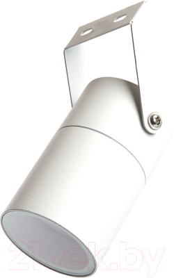 Бра уличное Feron DH1703 / 48319 - фото