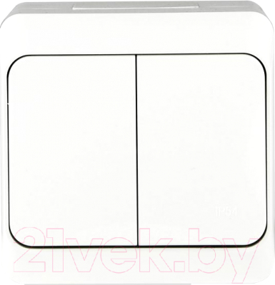 Выключатель Tokov Electric TKE-NX-V2-C01-IP54 - фото