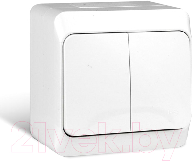 Выключатель Tokov Electric TKE-NX-V2-C01-IP54