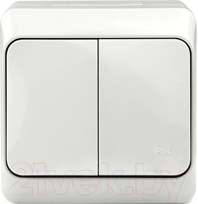 Выключатель Tokov Electric TKE-NX-V2-C06-IP54 - фото