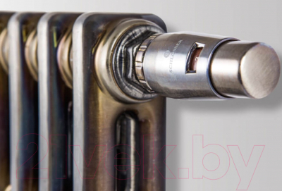 Радиатор стальной Arbonia RRN 2180/4 89 TF 4 (правый, нижнее подключение)