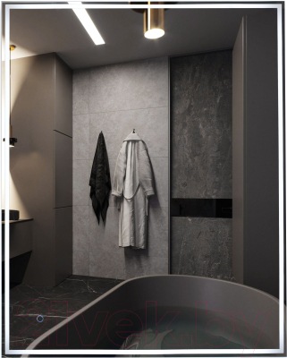 Зеркало Алмаз-Люкс Darwin 80100s-6 (с подсветкой) - фото