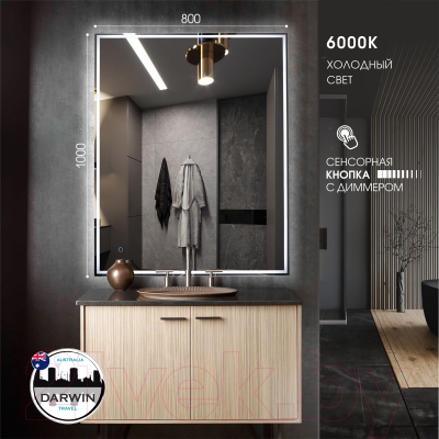 Зеркало Алмаз-Люкс Darwin 80100s-6 (с подсветкой)