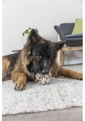 Игрушка для животных Trixie Леопард 34741