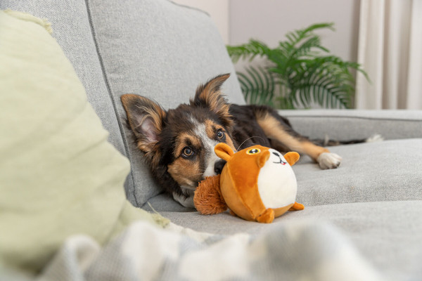 Игрушка для животных Trixie Белка 36020