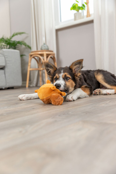 Игрушка для животных Trixie Белка 36020