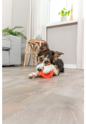 Игрушка для животных Trixie Лиса 36021