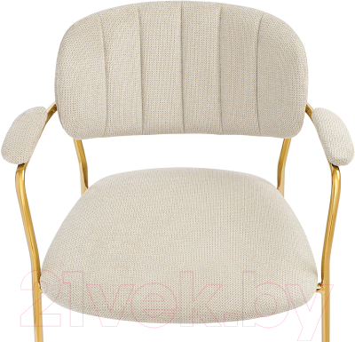 Стул Bergenson Bjorn Eirill / BB0000110 (серый)