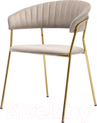 Стул Bergenson Bjorn Stefany / BB0000116 (серый) - фото