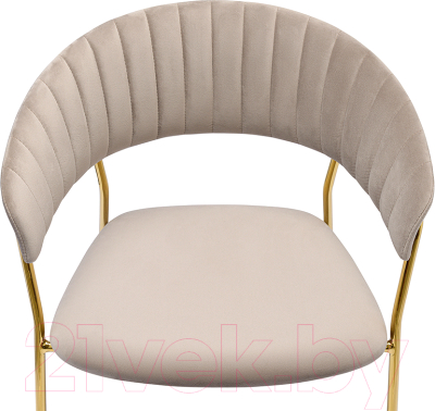 Стул Bergenson Bjorn Stefany / BB0000116 (серый)