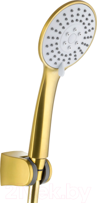 Душевой гарнитур Armatura Moza 841-220-31 - фото