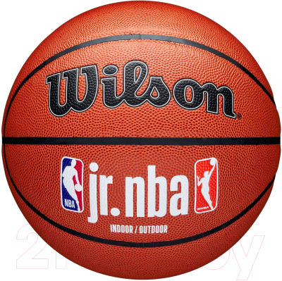 Баскетбольный мяч Wilson JR.NBA Fam Logo Indoor Outdoor / WZ2009801XB5 - фото